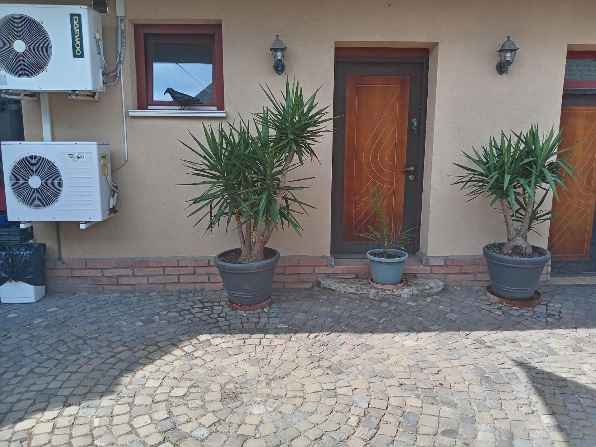 Brique Jobb Mint Othon Apartman Hajdúszoboszló المظهر الخارجي الصورة